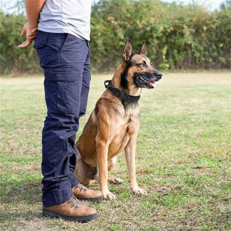 Tactical Dog Collar Leash Set, Adjustable Military Collar